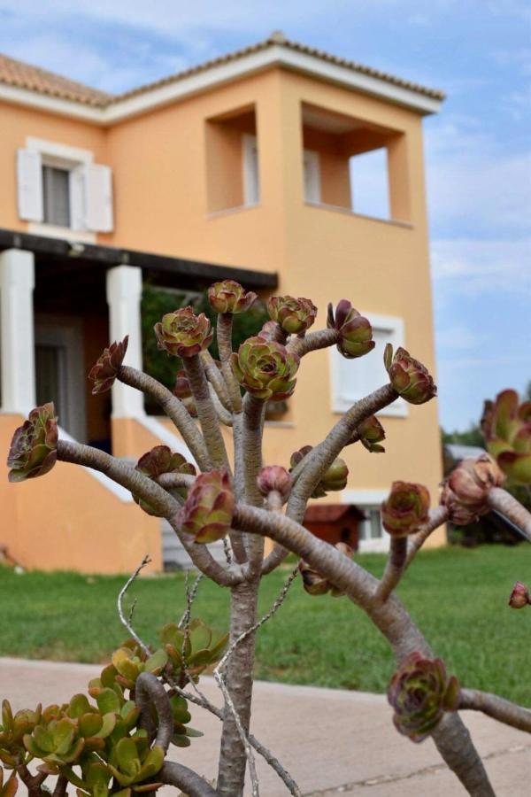 Boutique Hotel Ileas Village Arkoudi Extérieur photo